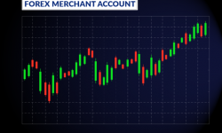 paypound , high risk merchant account , forex merchant account , gaming merchant account